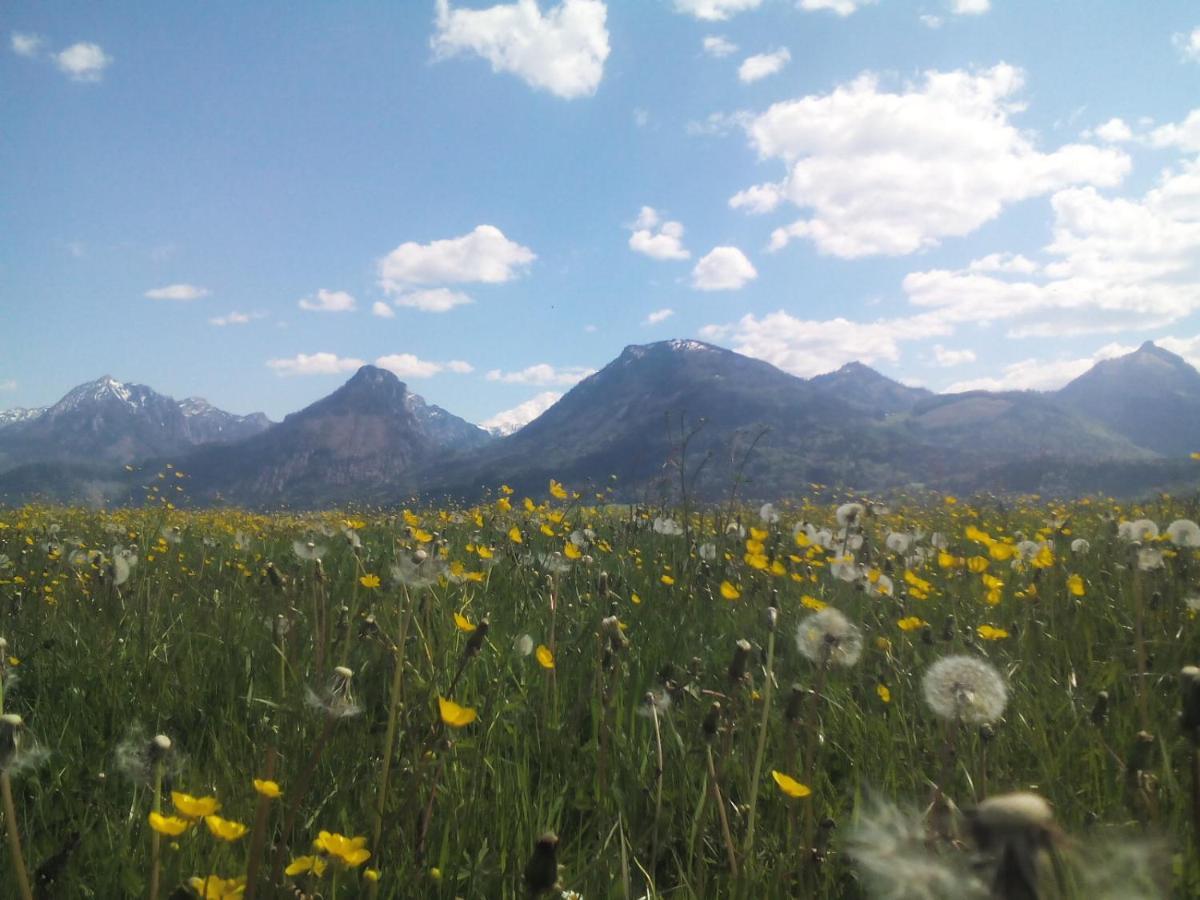 S-Hansn Sankt Wolfgang im Salzkammergut Exterior foto